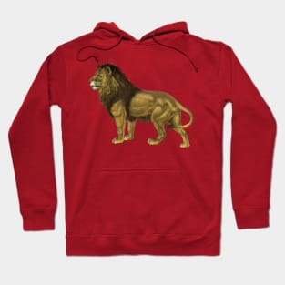 Impressive Male Safari Lion Hoodie